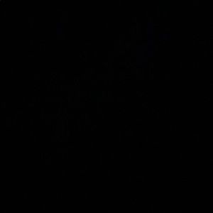 Meet your Posher, Martina